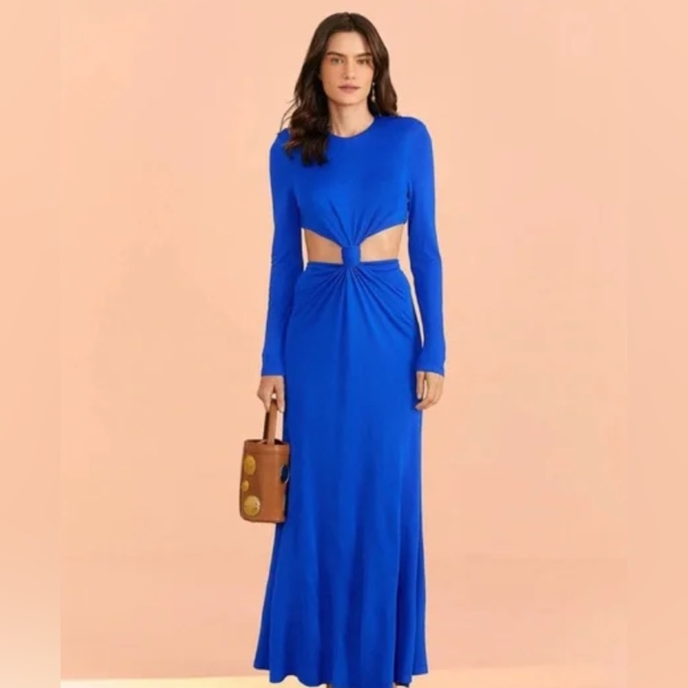 NWT Farm Rio Dress